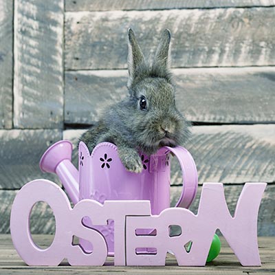 Ostern