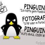 Pinguin Witz Fotograf