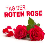 Tag der roten Rose