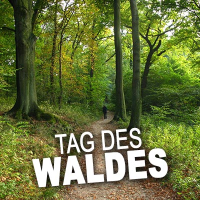 Tag des Waldes