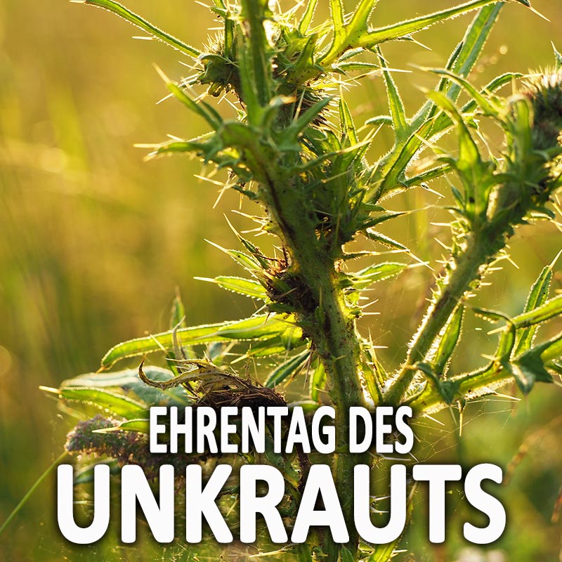 Ehrentag des Unkrauts