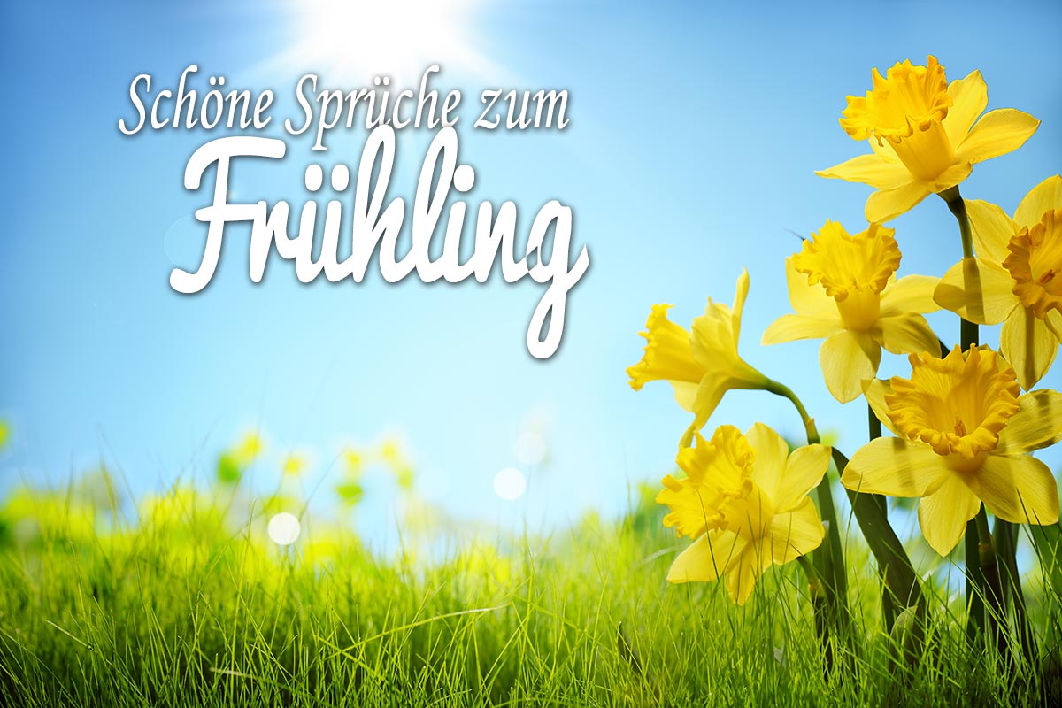 Sprüche zum Frühling