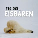 Tag des Eisbären