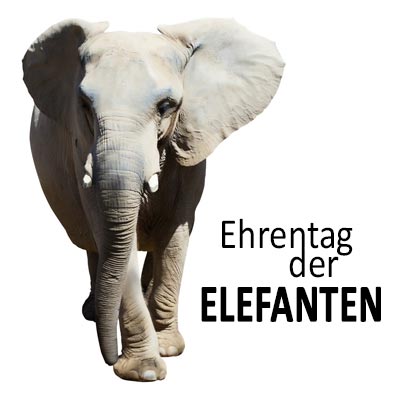 Ehrentag der Elefanten