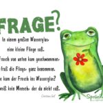 Frosch, Fliege und Wasserglas - Gedicht