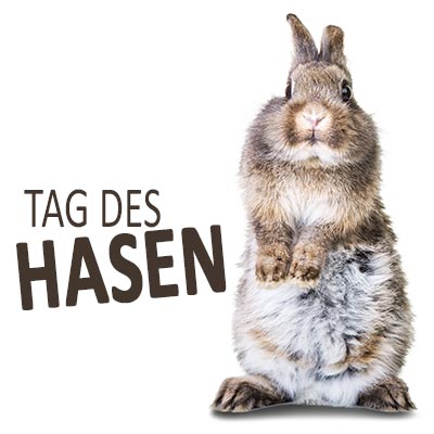 Tag des Hasen