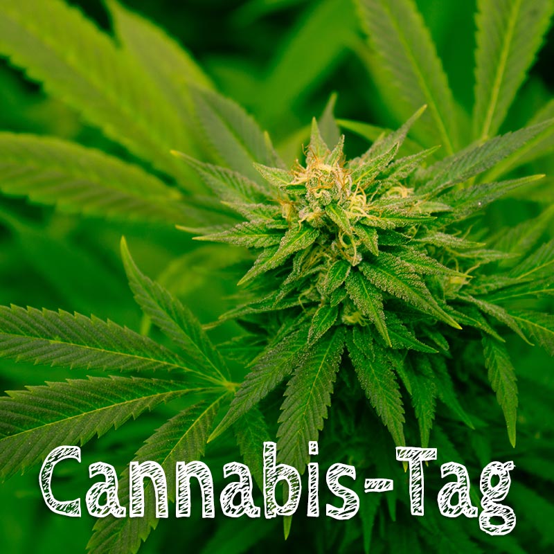 Cannabis-Tag