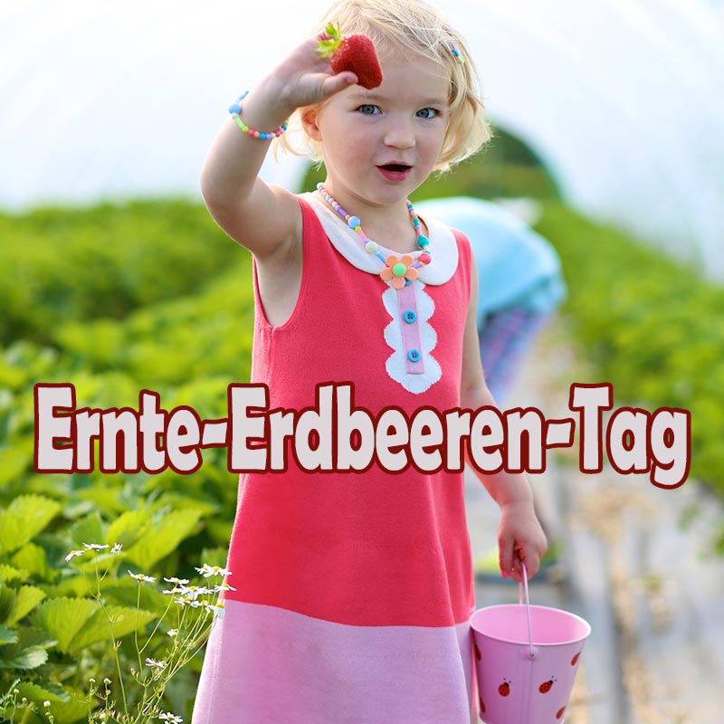Ernte-Erdbeeren-Tag