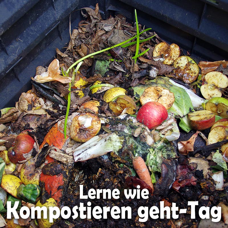 Lerne-wie-Kompostieren-geht-Tag