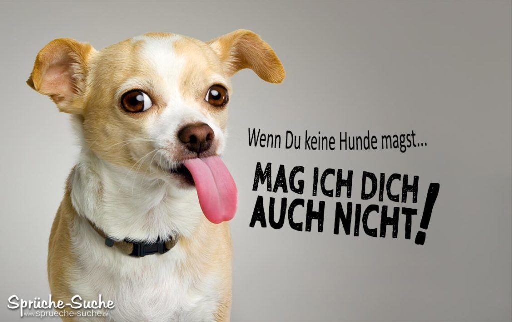 PRO Hund Lustige Sprüche für Hundefreunde