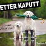 Schlechtes Wetter Spruch mit Hunden