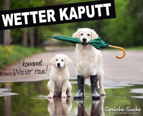 Schlechtes Wetter Spruch mit Hunden