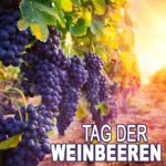 Tag der Weinbeeren