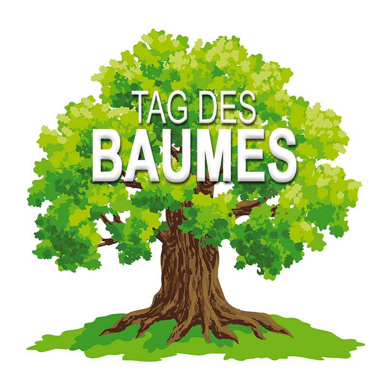 Tag des Baumes