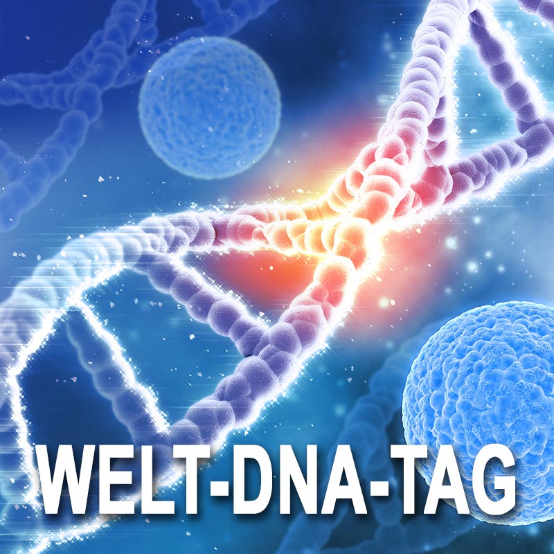 Welt-DNA-Tag