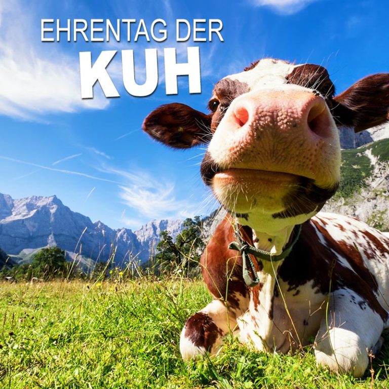 Ehrentag der Kuh SprücheSuche
