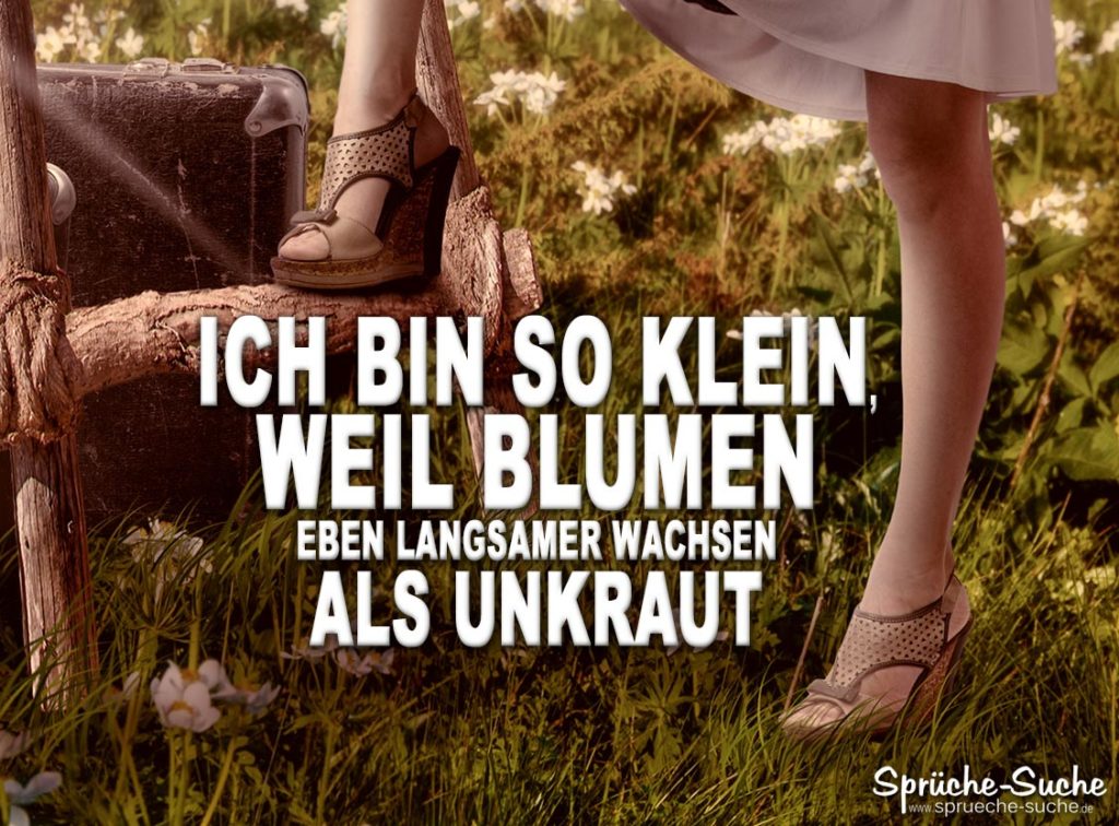 ICH BIN klein, NA UND? Lustige Sprüche für kleine Menschen