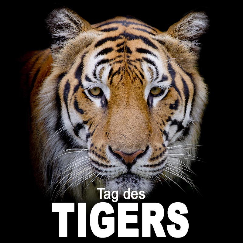 Tag des Tigers