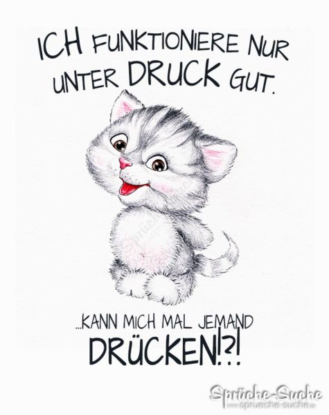 Ich funktioniere nur unter Druck - Spruchkarte mit niedlicher Katze als Zeichnung