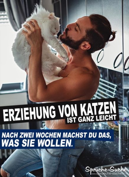 Lustiger Spruch - Erziehung von Katzen