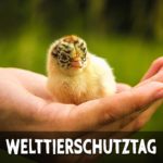 Welttierschutztag