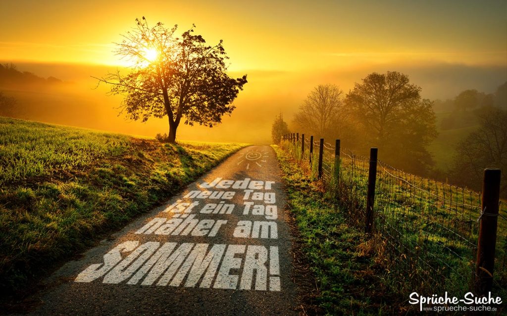Jeder neue Tag ist ein Tag näher am Sommer! SprücheSuche