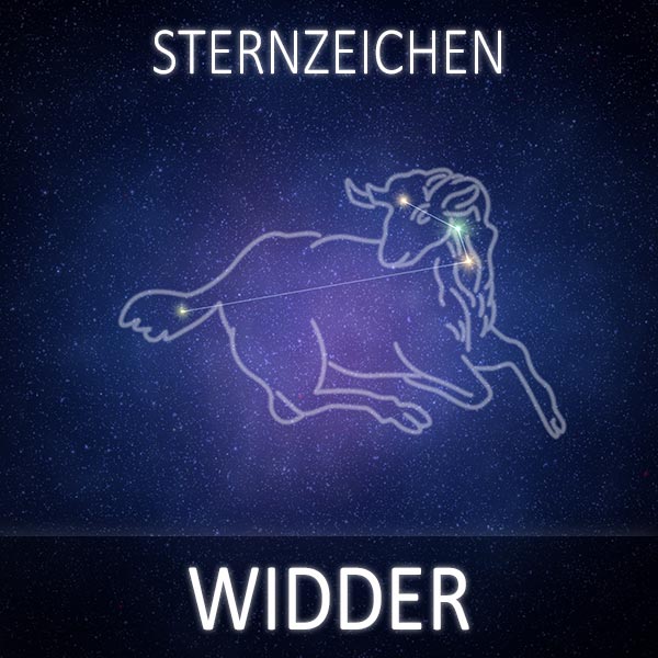 Widder