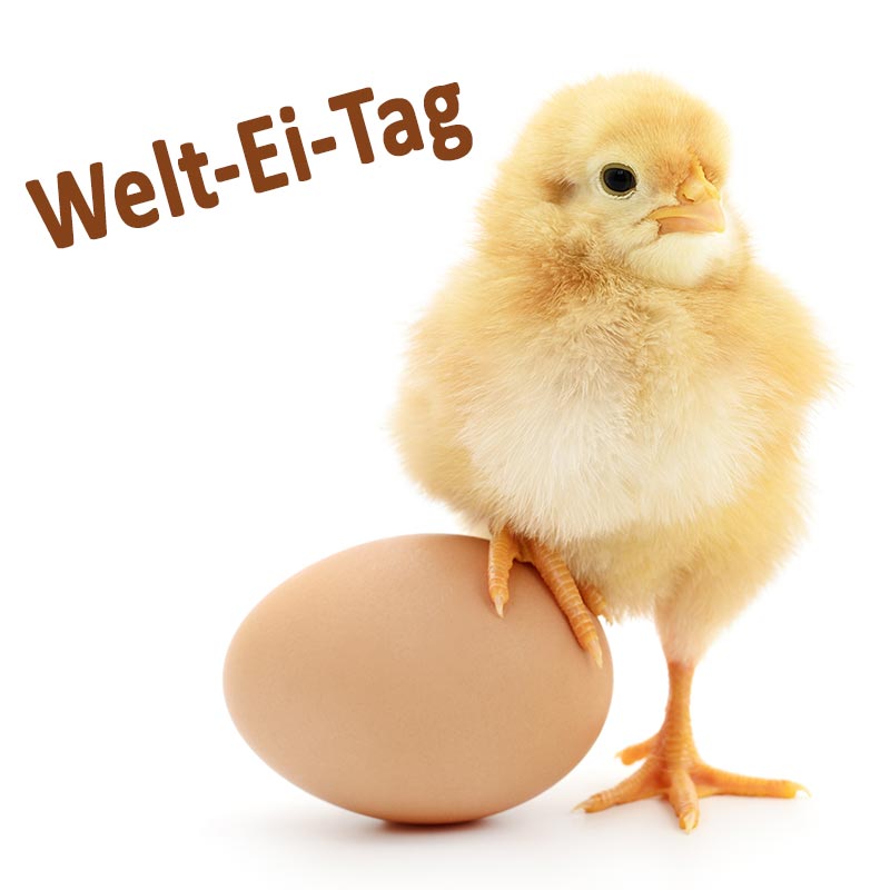 Welt-Ei-Tag