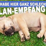 ELAN-Empfang - Lustiger Spruch mit schlafendem Hund