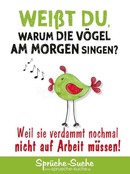 Lustiger Spruch - Warum die Vögel am Morgen singen