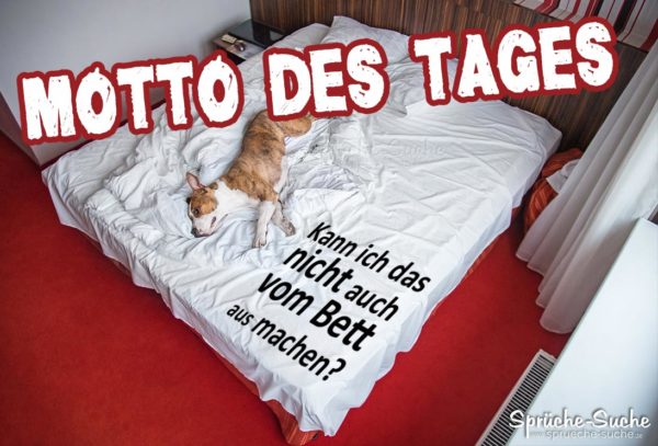 Hund im Bett - Motto des Tages Spruch