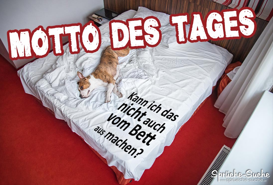 Hund im Bett - Motto des Tages Spruch - Sprüche-Suche