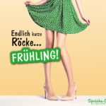 Kurzer Rock - Frühling Spruch