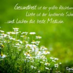 Spruch über das Leben - Gesundheit, Liebe und Lachen