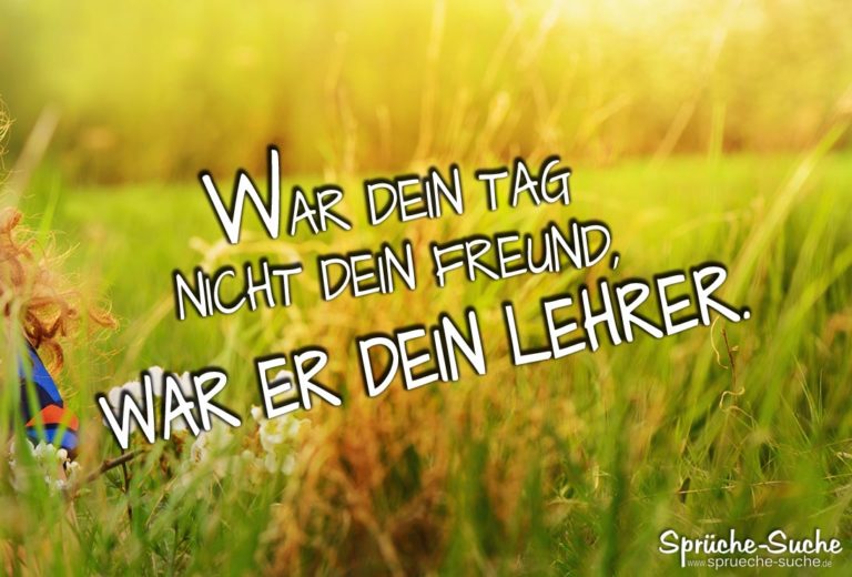 Freund & Lehrer Weisheiten über das Leben SprücheSuche