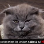 Montag - Lustiger Spruch mit Katze