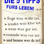 Die 5 Tipps fürs Leben - Lustige Sprüche