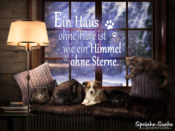 Ein Haus ohne Tiere ist wie ein Himmel ohne Sterne - Spruch mit Hund und Katze