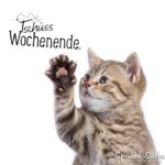 Tschüss Wochenende Katze winkt