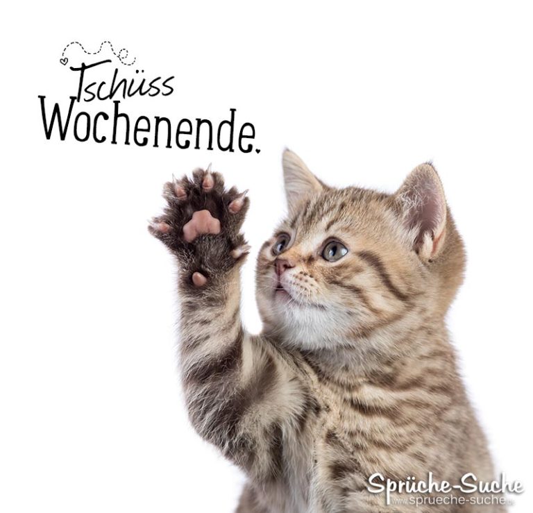 Tschüss Wochenende! Abschiedsgruß mit Katze