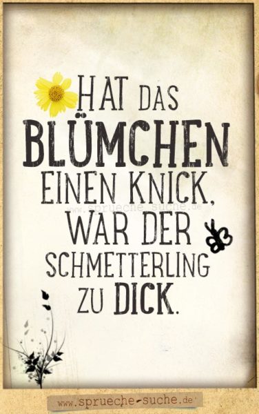 Spruch schmetterling hochzeit Schöne Sprüche