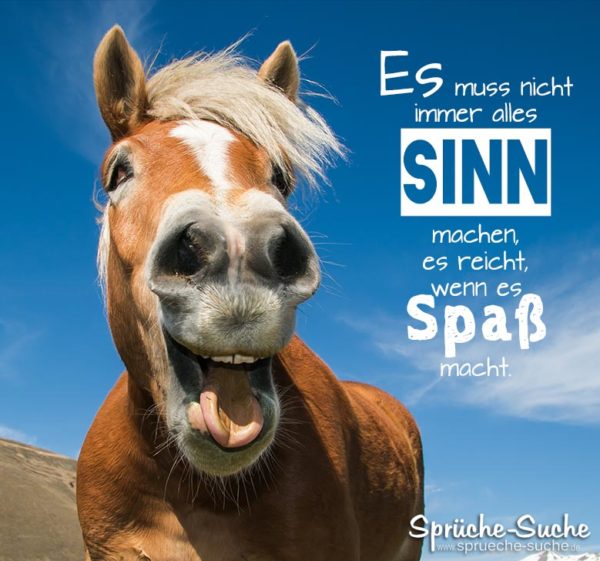 Lachendes Pferd - Spass Sprüche