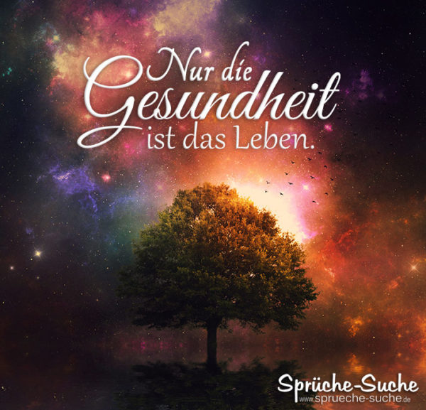 Nur die Gesundheit ist das Leben - Krankheit Spruch