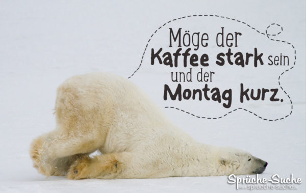 Lustiger Spruch mit Eisbär - Kaffee stark Montag kurz