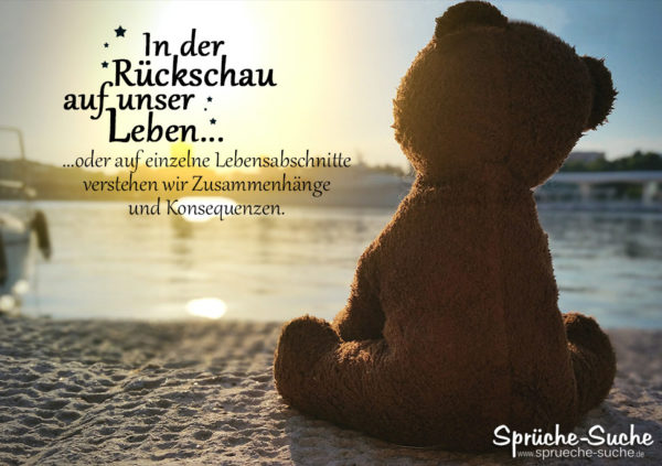 Teddy blickt Richtung Sonnenuntergang - Sprüche zum Nachdenken - In der Rückschau auf unser Leben