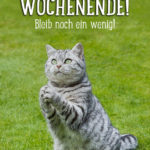 WOCHENENDE Spruch mit Katze