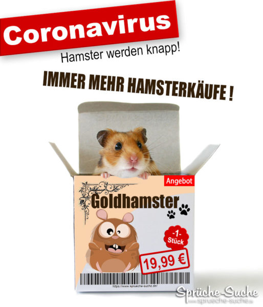 Coronavirus Hamsterkäufe