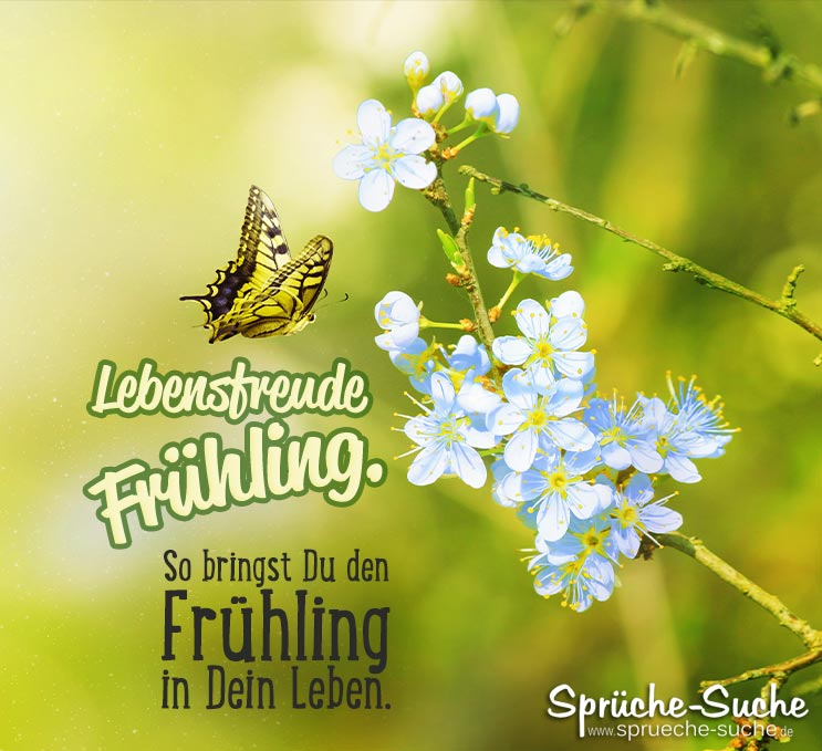 Lebensfreude Frühling. So bringst Du den Frühling in Dein Leben