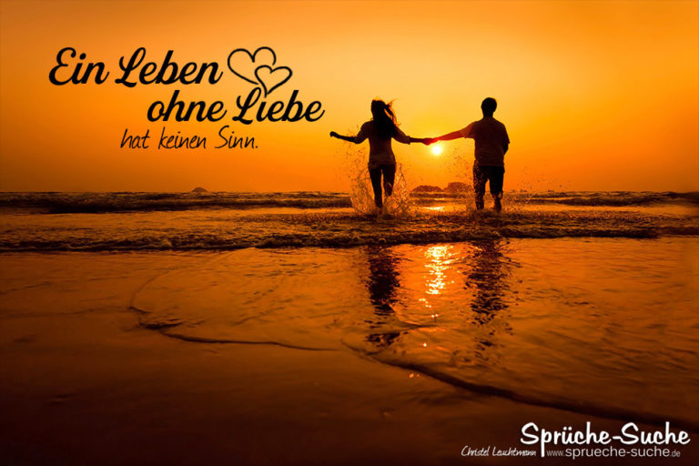 Ein Leben ohne Liebe hat keinen Sinn. SprücheSuche