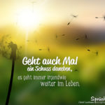 Motivationssprüche mit Pusteblume - es geht immer irgendwie weiter im Leben